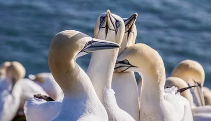 嵊州最新的高价医保个人账户余额微信查询方法分享(嵊州医保查询个人账户明细怎么查微信教程)