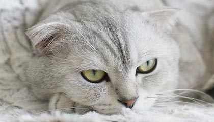 嵊州最新的高价医保个人账户余额微信查询方法分享(嵊州医保查询个人账户明细怎么查微信教程)