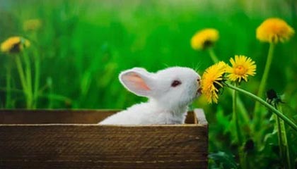 嵊州最新的高价医保卡惠民保险代扣怎么取消掉了方法分享(嵊州惠民医保怎么报销教程)